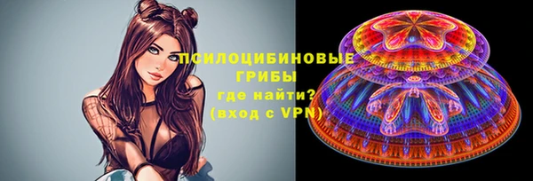 PSILOCYBIN Абинск