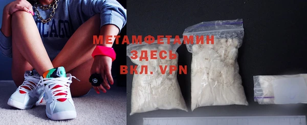 индика Абаза