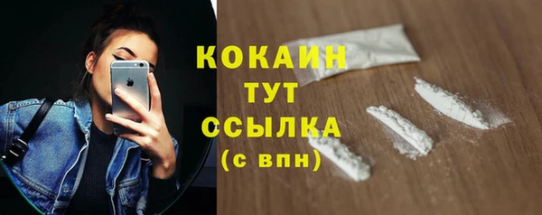 дмт Няндома