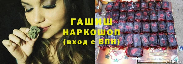 индика Абаза