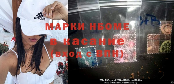 индика Абаза