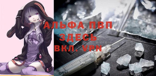 индика Абаза