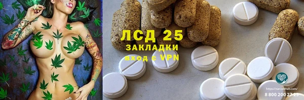 индика Абдулино