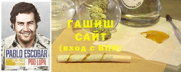 индика Абаза