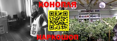a pvp Ставрополь