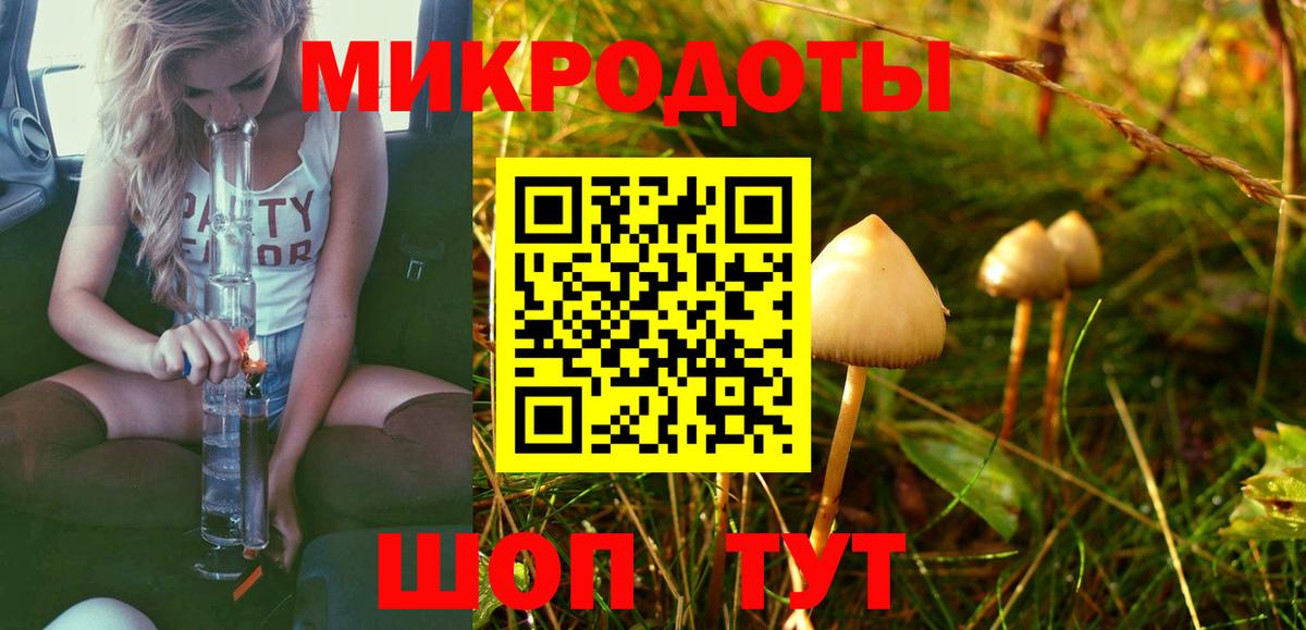 Галлюциногенные грибы Psilocybine cubensis Ялуторовск