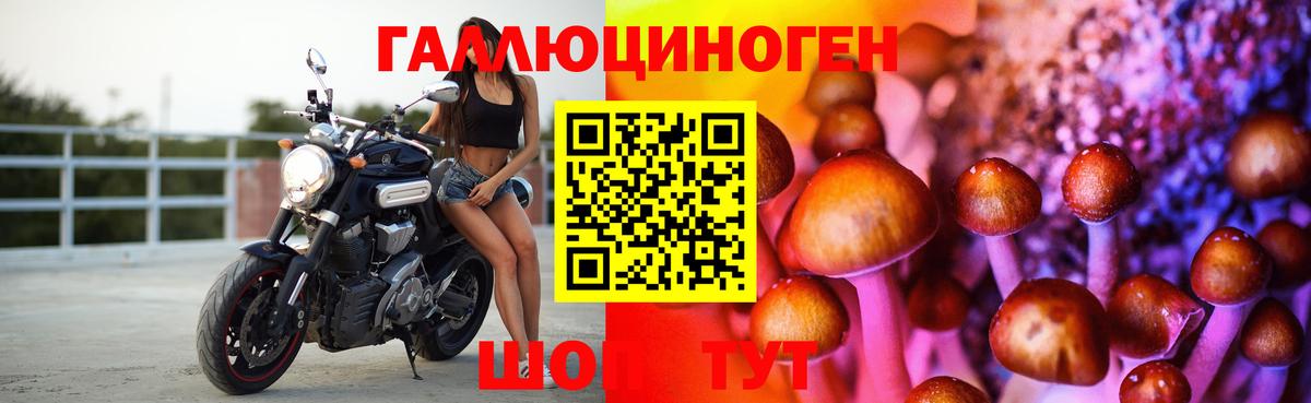 Псилоцибиновые грибы MAGIC MUSHROOMS  Псилоцибиновые грибы ЛСД  Ялуторовск  Вход с VPN 